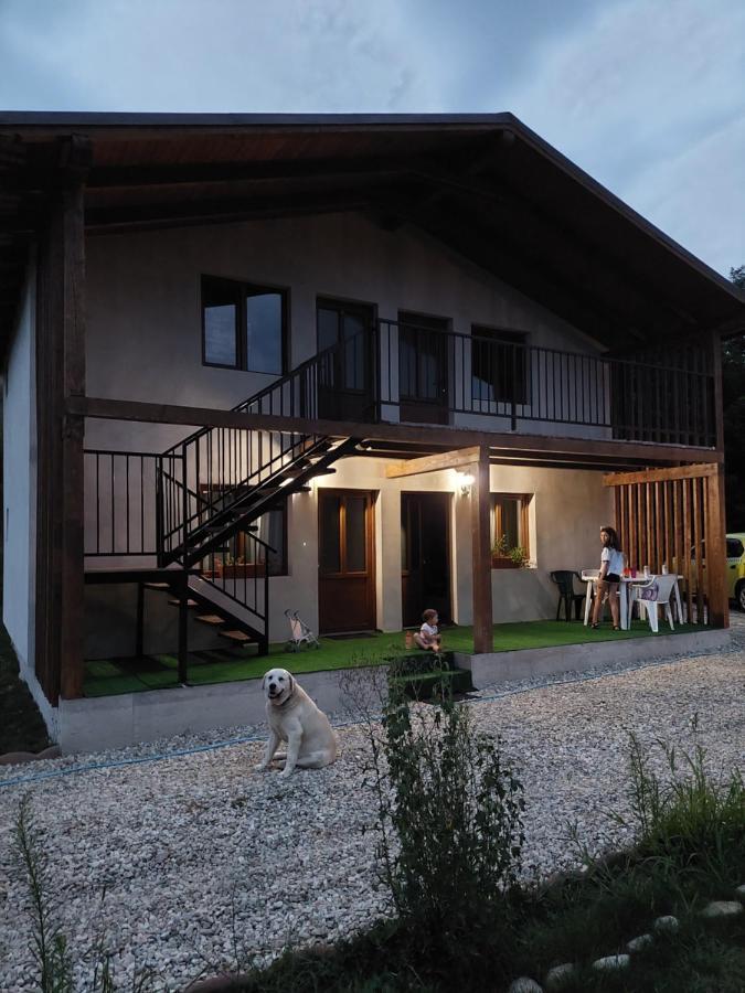 Cabana Oprisor Ocna Sibiului Zewnętrze zdjęcie